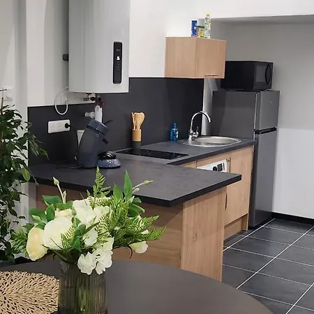 Mezzanine Centre-ville Appartement *